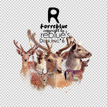 REBLUE's DEER PNG