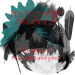 Photoshop CS - Feather set 2 by firebug-stock