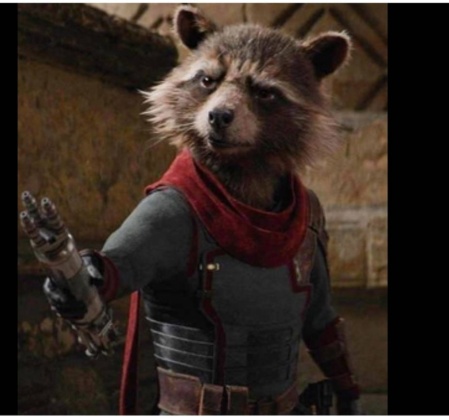 Rocket x reader cheater by clintandsabretooth on DeviantArt