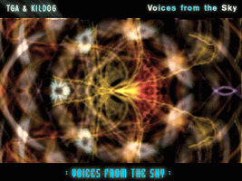 Voices from the Sky