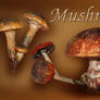 Mushroom..