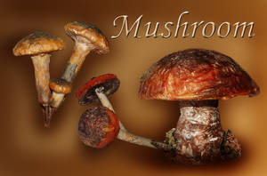 Mushroom..