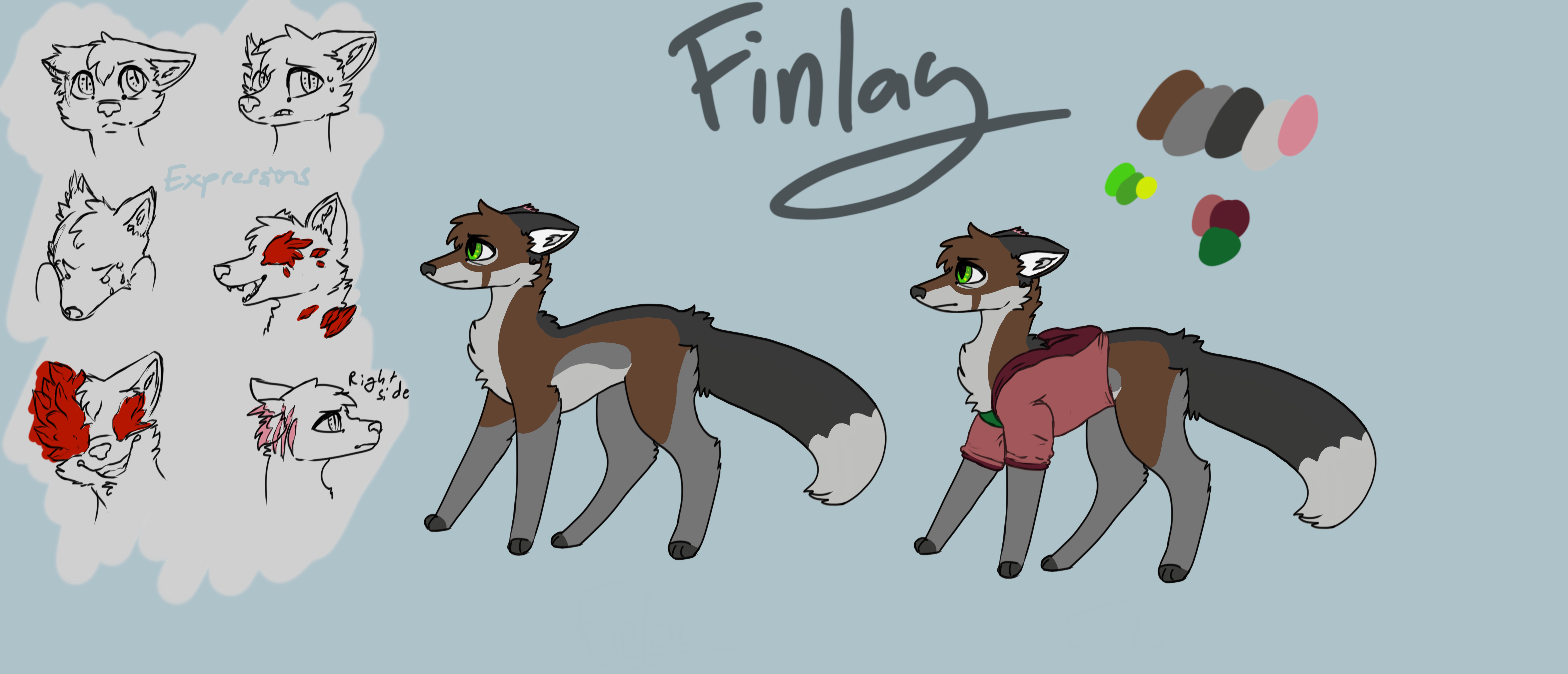 FinlayRef Sheet by FoxbrushCreations on DeviantArt