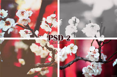 sakura psd