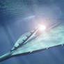 Nautilus