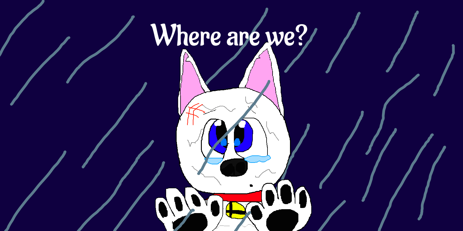 [D]: Where are we?