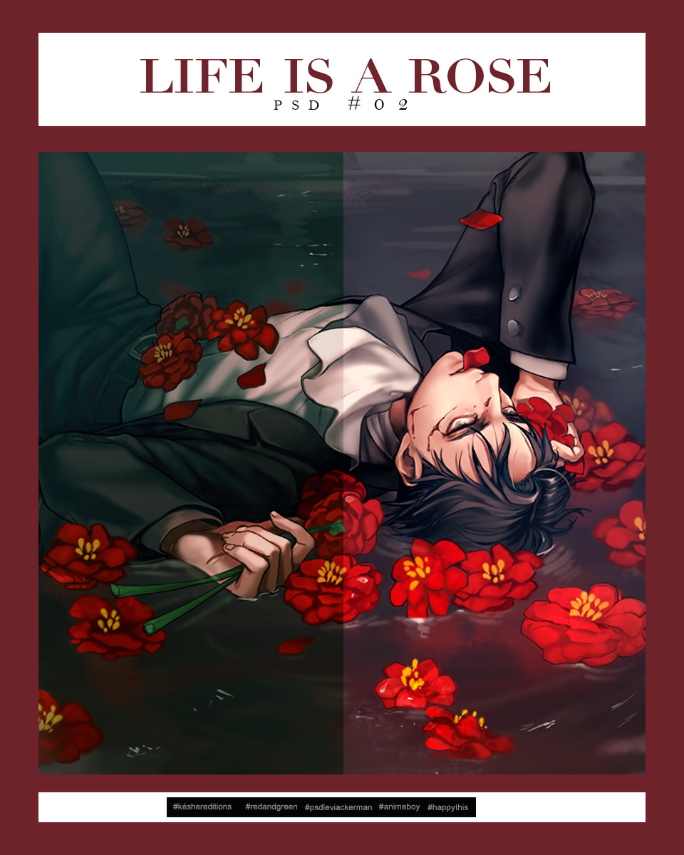 Psd.life Is A Rose by isKesher on DeviantArt