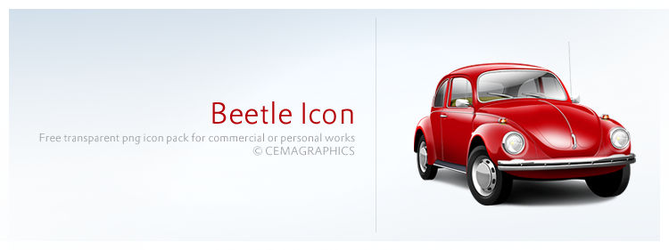 Beetle Icon