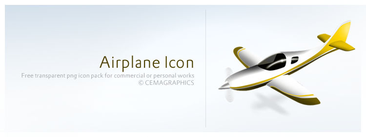 Airplane Icon