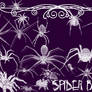 Spider Brushes