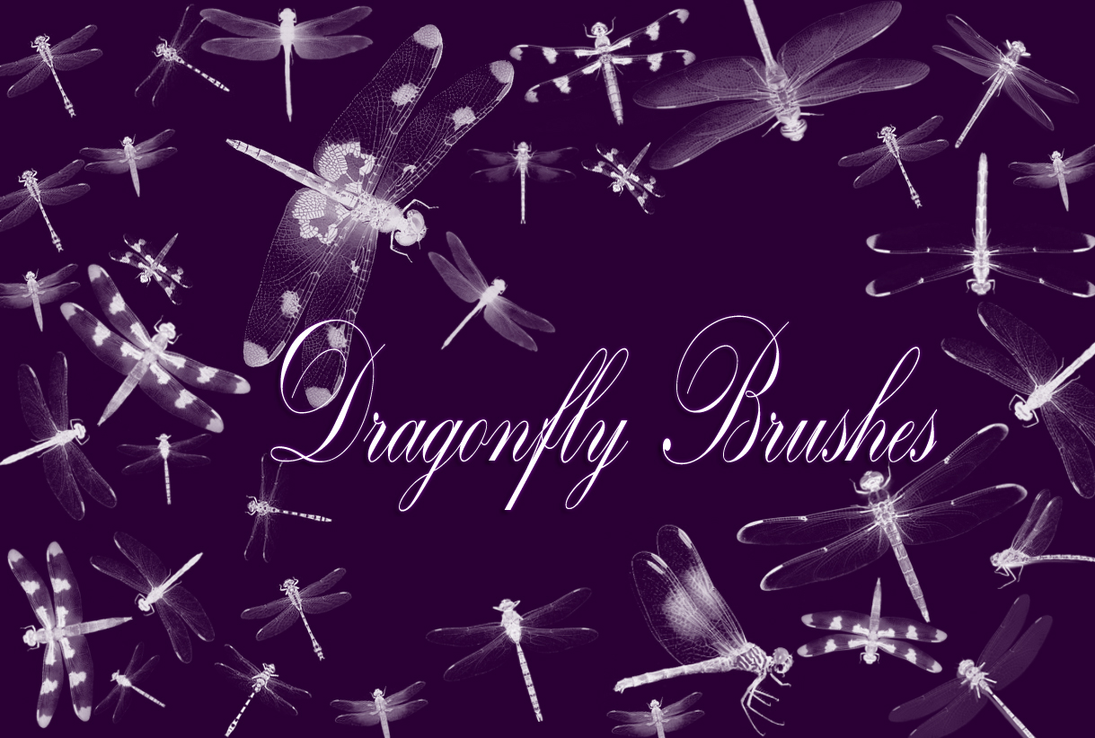 Dragonfly Brushes by Gothic11Shadow on DeviantArt
