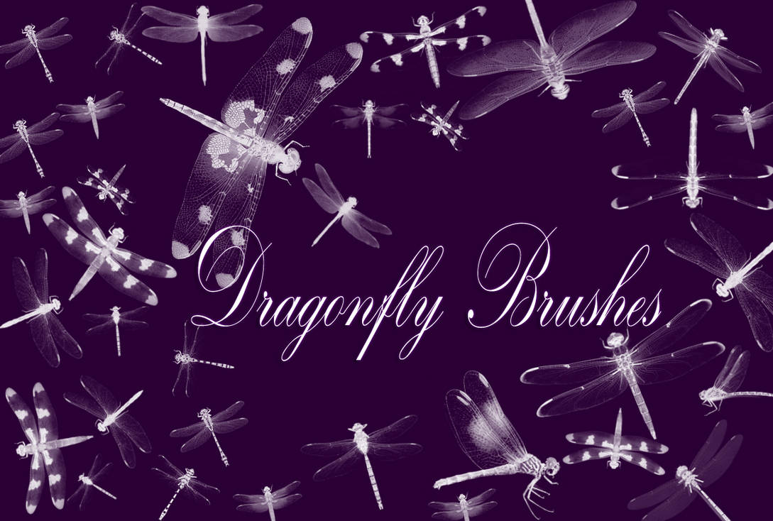 Dragonfly Brushes by Gothic11Shadow on DeviantArt