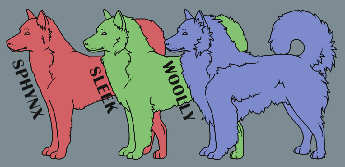 PTU Anubian Spitz Lineart Set by MidnightAyaDARPG on DeviantArt