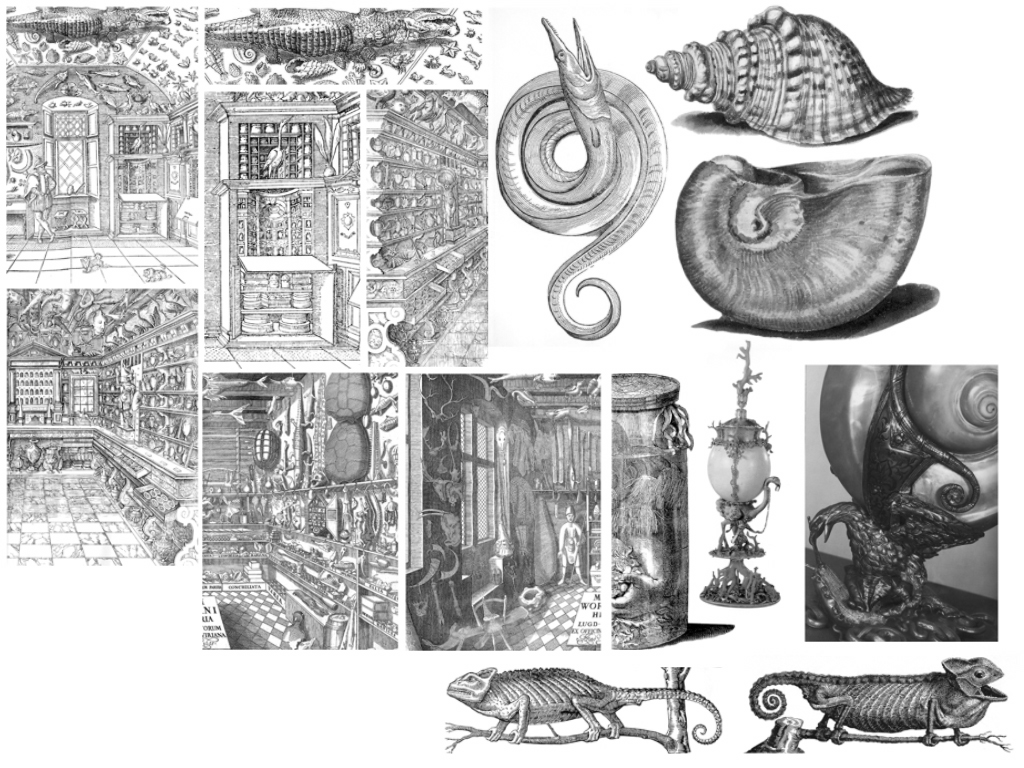 The Curiosity Cabinet I by TheSarcophagusRoom on DeviantArt