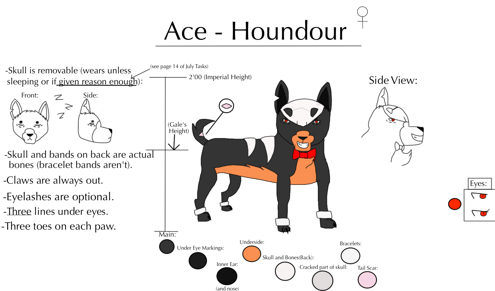 PMD-e Ace Reference Sheet