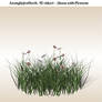3D object 1.0 grass and flower