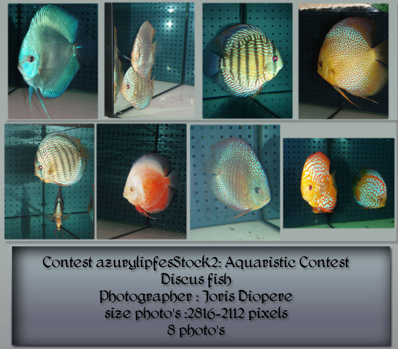 Contest fish pack 2