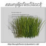 3D object - grass2