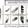 Revised Feather brushes