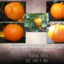 2009- pumpkins