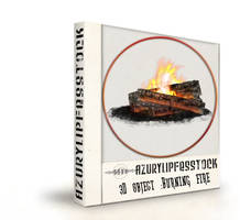 3D object2009-burning fire