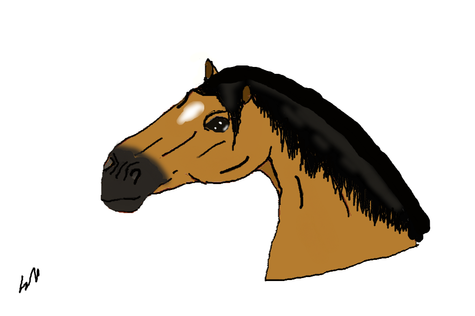 Buckskin Horse by Unicornasaurusrex on DeviantArt