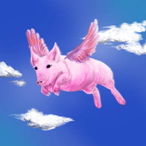 Flying pig