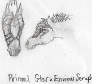 Breeding Picture Primal Star x