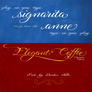 Signarita Anne Script Font