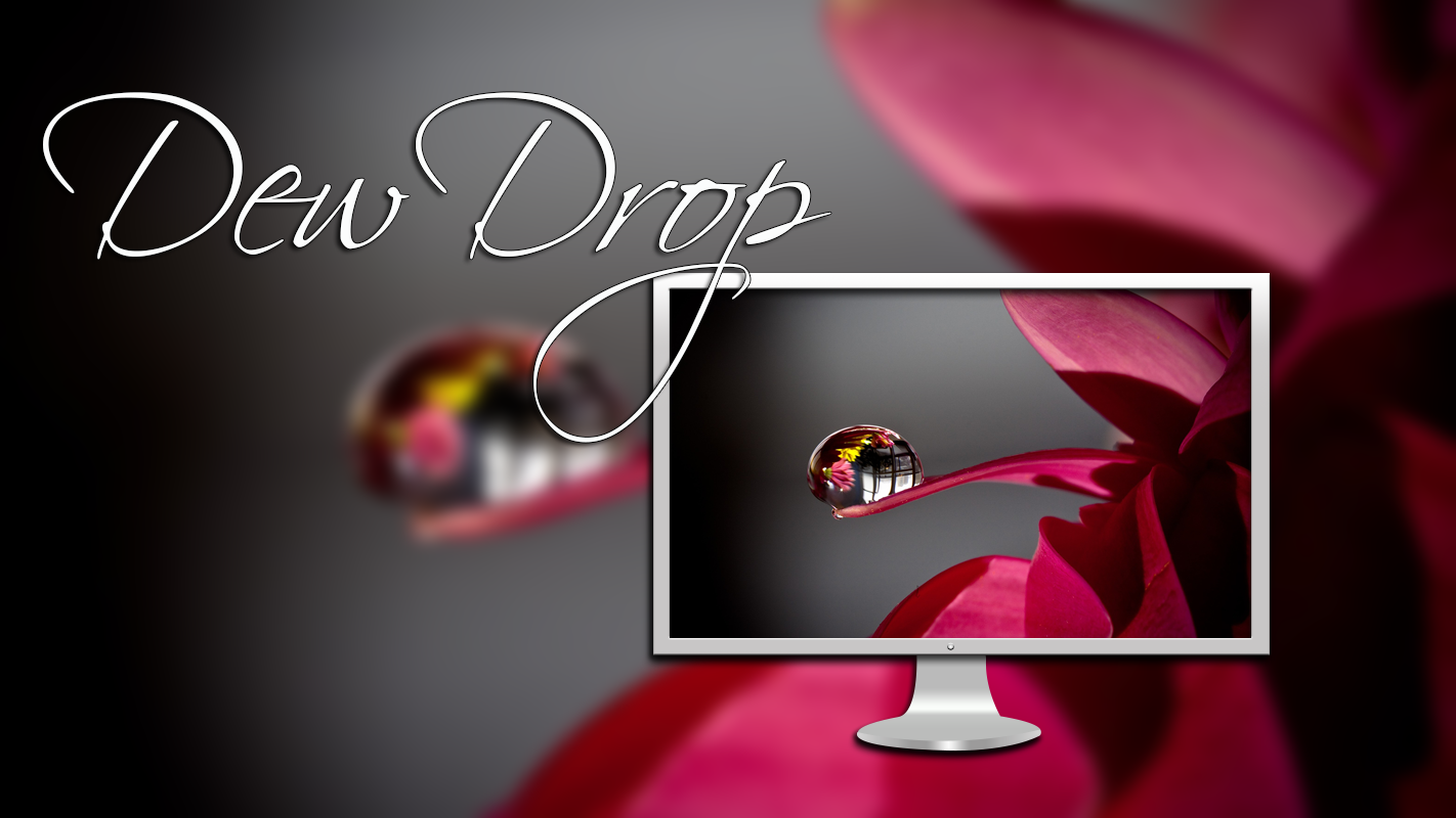 Dew Drop Desktop Wallpaper