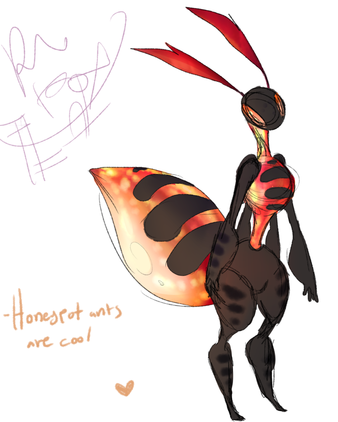 Honeypot ant i guess by R00ND0G on DeviantArt
