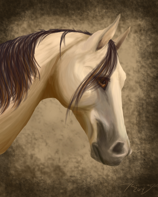 Buckskin Arabian by Lark-Lerche on DeviantArt