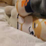 shiba socks video with my sexy feet part 2