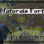 -2- Naturals Fortress