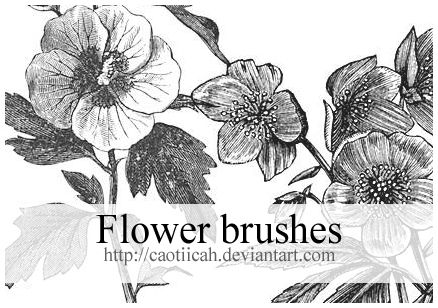 Flower brushes 03