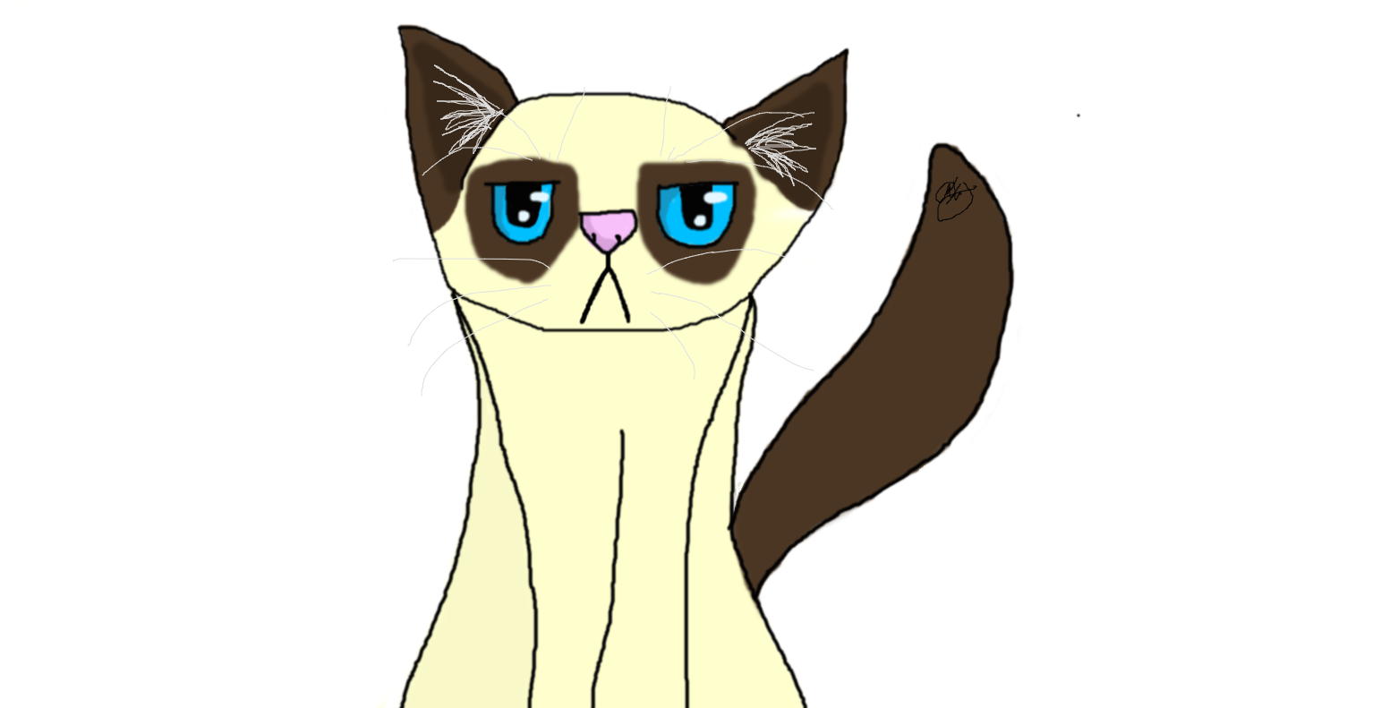 Grumpy Cat by Solacon on DeviantArt