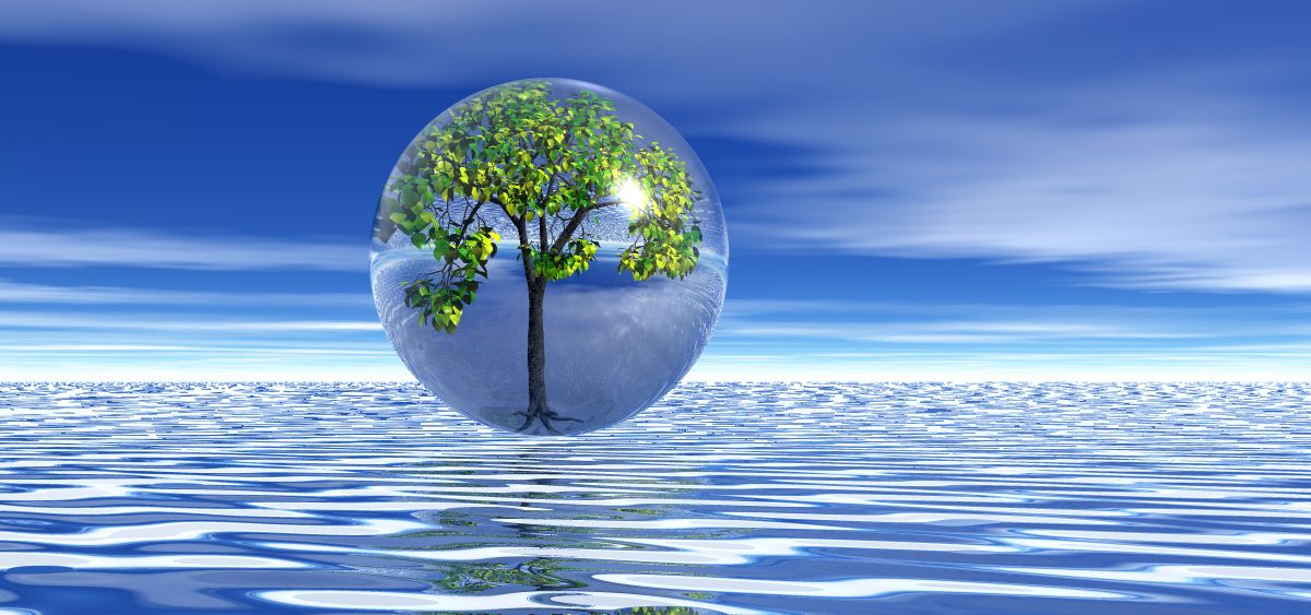 tree by janaspider on DeviantArt