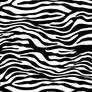 Zebra Print vector 2