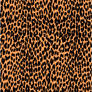 Leopard Print Vector 2