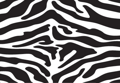 Zebra Print Vector 3