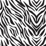 Zebra Print 4