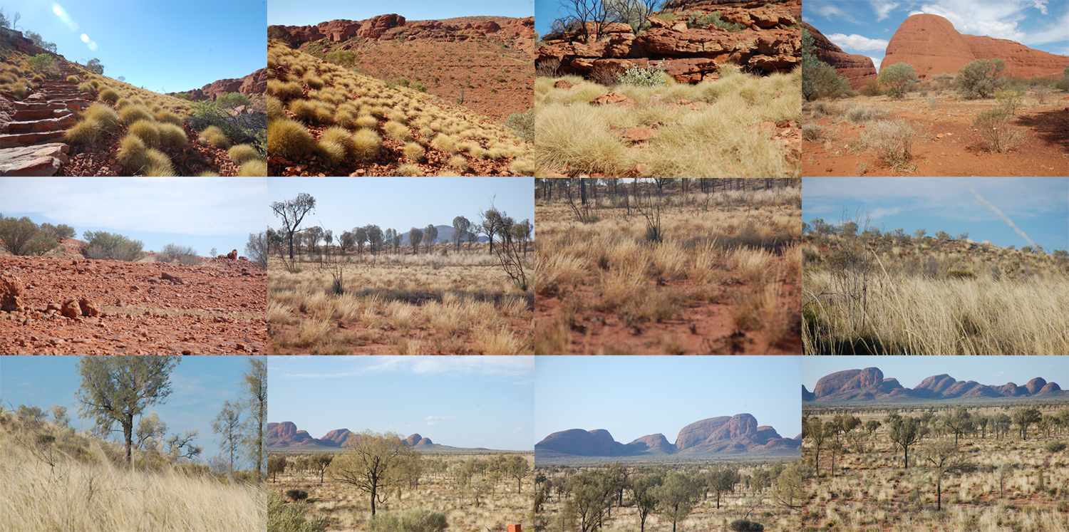 Australian Desert