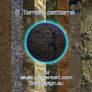Terrain-D Patterns
