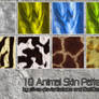 Animal Skin Patterns