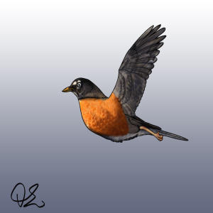 Bird Landing Animation By Theohtoons On Deviantart