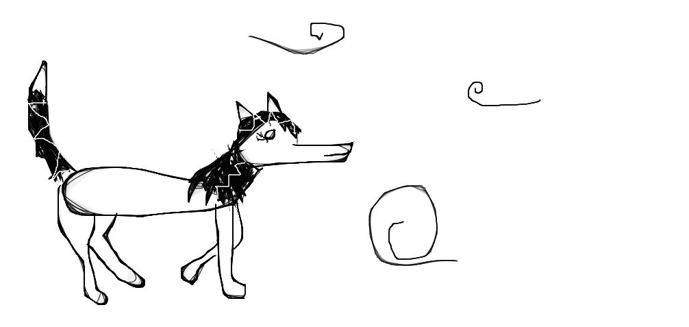 wolf in the wind by horselover112 on DeviantArt