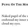 Pupil Of The Mist