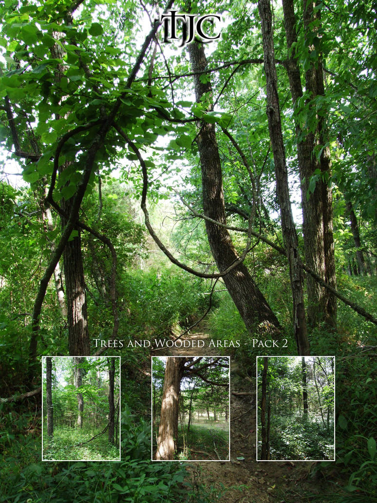 Trees and Wooded Areas Pack 2 by tcrain606 on DeviantArt