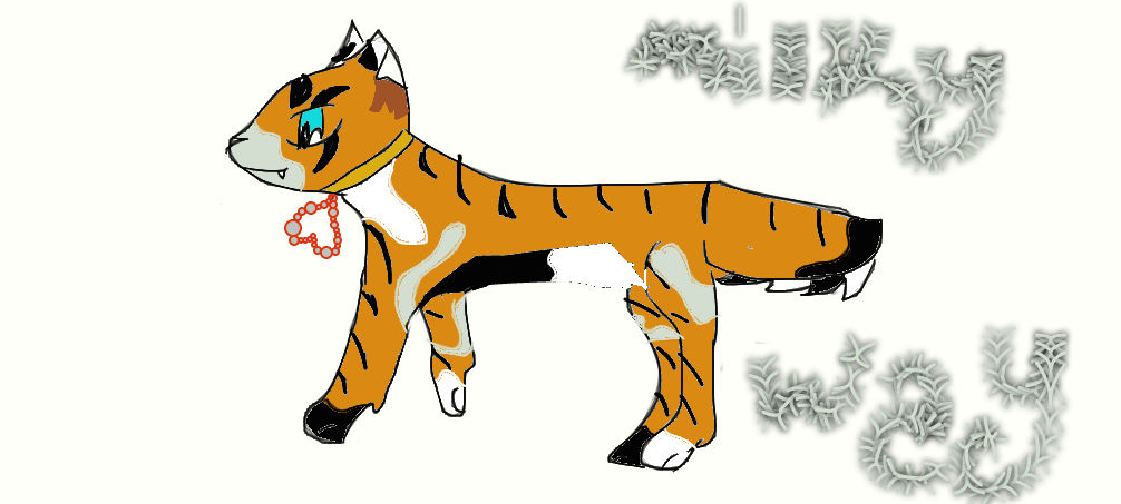 Milky Way the Cat by CatGirlDragon459 on DeviantArt