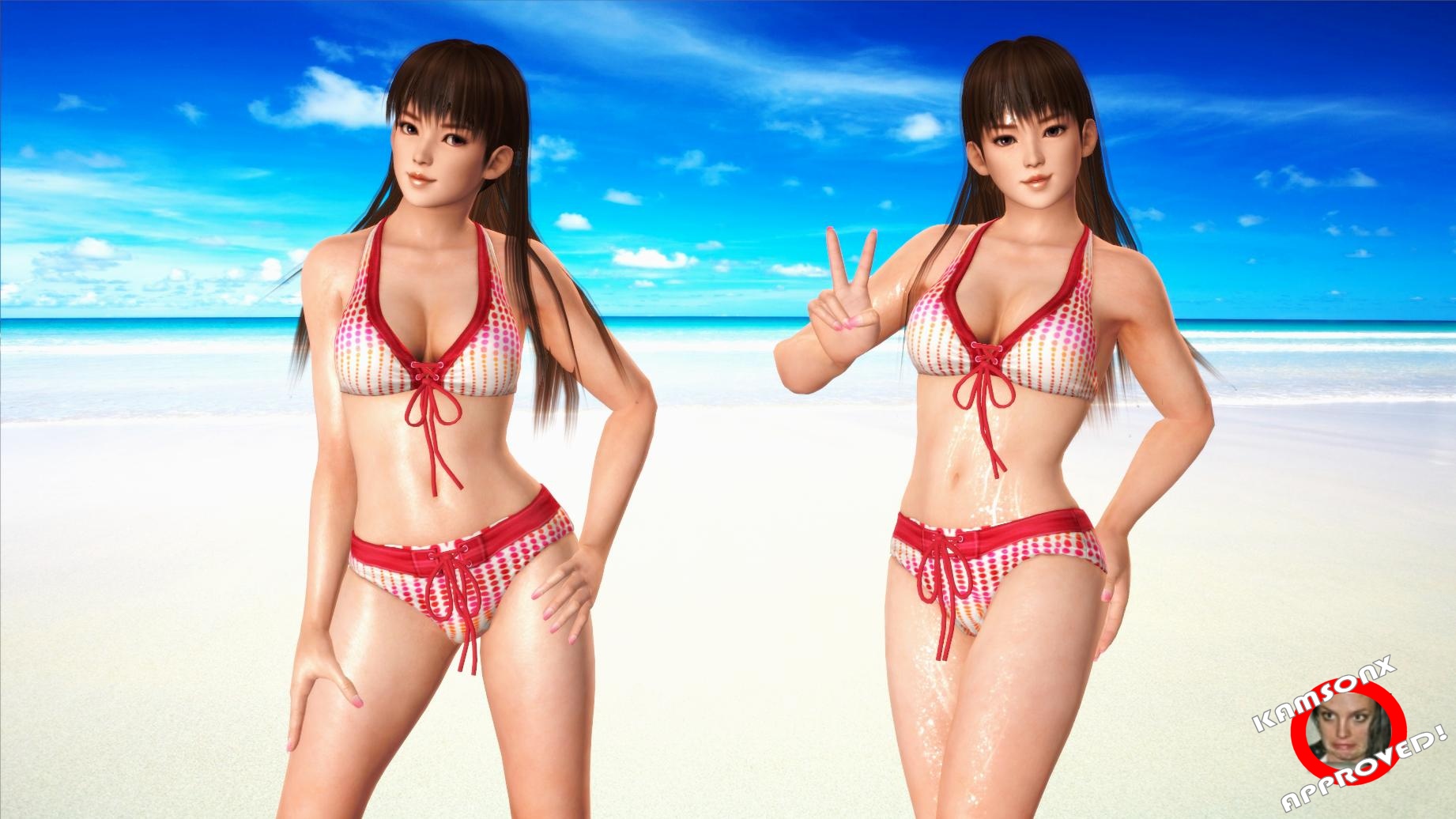 DoA5 LeiFang hotties Bikini